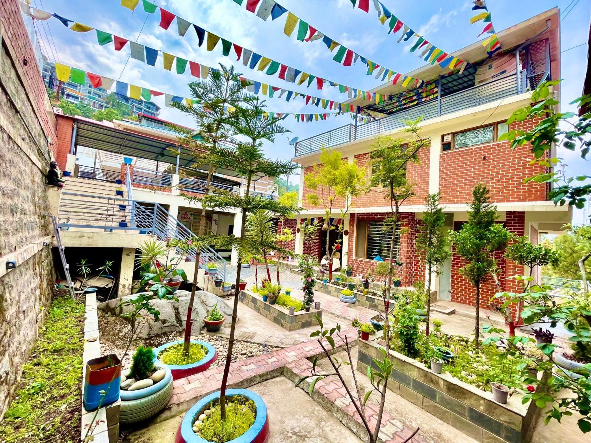 The Auriga 3Bhk Fully Entair Villa With Bonfire In Kasauli I Pvt Stay I Open Air Terrace I Kitchen Livingroom I Lawn Bonfire I Gaming Zone Dış mekan fotoğraf